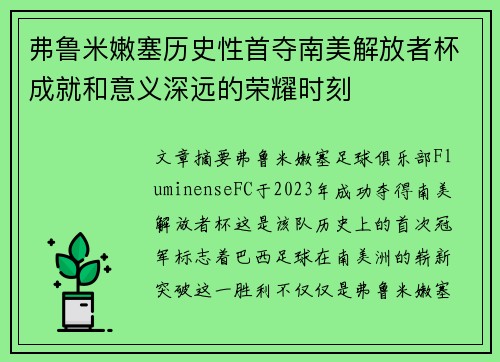 弗鲁米嫩塞历史性首夺南美解放者杯成就和意义深远的荣耀时刻